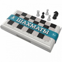 Фотография Шахматы в серой пластиковой коробке (малые, 21х21) [=city]